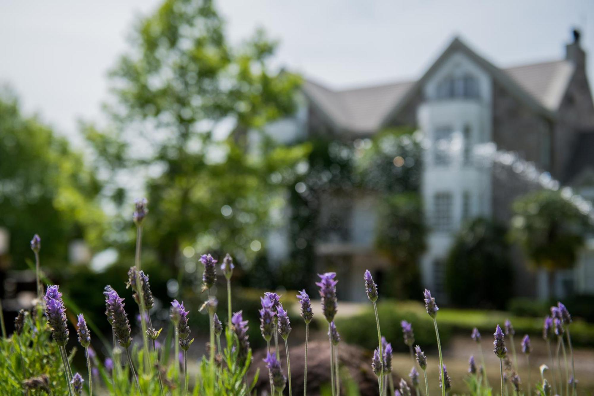 Castelo Saint Andrews Otel Gramado Dış mekan fotoğraf